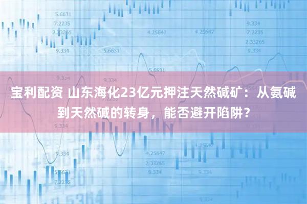 宝利配资 山东海化23亿元押注天然碱矿：从氨碱到天然碱的转身，能否避开陷阱？