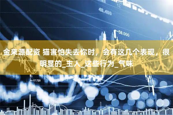 金来源配资 猫害怕失去你时，会有这几个表现，很明显的_主人_这些行为_气味