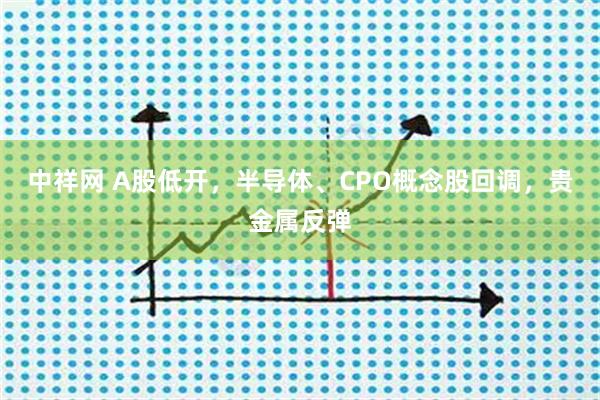 中祥网 A股低开，半导体、CPO概念股回调，贵金属反弹